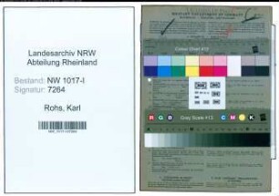 Entnazifizierung Karl Rohs , geb. 02.04.1897 (Gaertner)