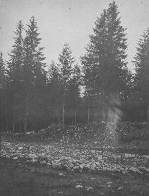 Gesicherter Hang : Ein durch eine Felsenmauer gesicherter Berghang, darüber Wald