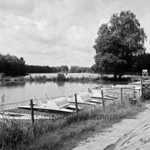 Bredenbeker Teich: vorne Bootsanlegestelle: Sandweg, Maschendrahtzaun: Bildmitte Schaukel, rechts Schild mit Glocke