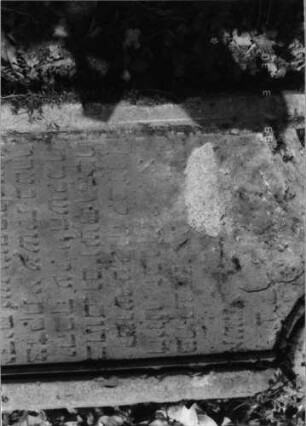 Grabstein 392 (Index: 99791974) Zustand: Fragment Maße HxBxT: 86x44x15 cm Besonderheit: kein Formblatt vorhanden: Grabstein 392 (Detailaufnahme 2)