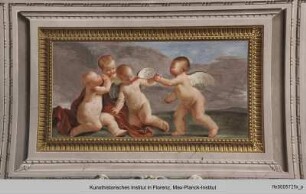 Gewölbedekoration mit Amoretten und Grotesken