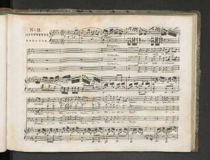 No. 11. Quintetto.
