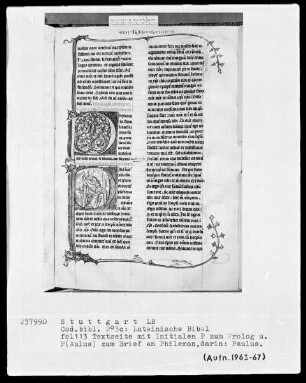 Lateinische Bibel, drei Bände — Initiale P (aulus) mit dem Apostel Paulus, Folio 113recto