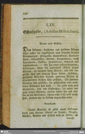 LXV. Schaafgarbe, (Achillea Millefolium)