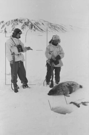 Eis vor dem Südabfall Kap Lovén : Robbenjagd (Werner Schlösser, Heinz Schneider)
