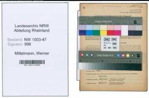 Entnazifizierung Werner Mittelmann , geb. 10.06.1902 (Fabrikant)