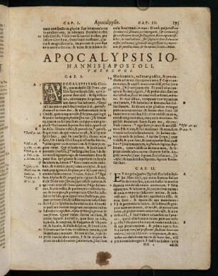 195-208, Apocalypsis Iohannis apostoli, theologi