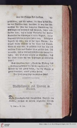 Muschelkameen aus Trapani in Sicilien