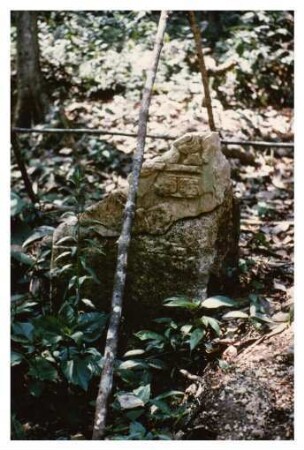 Dos Pilas, Stela 15 (DPL: St. 15)