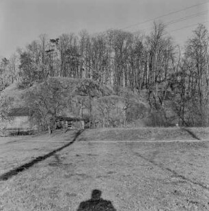 Schanze Prietitz : Blick zur Prietitzer Schanze