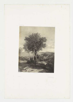 Landschaft mit Bäumen, Blatt 73 der Folge "Werke"