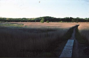 Brenner Moor: Steg