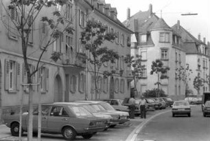 Baumbestand in der Brahmsstraße