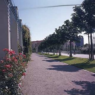 Hansjakob, Gottfried; München - Schwabing, Berliner Str.; Wohnanlage an der Berliner Straße (Schwabinger See) - Außenanlage, Uferpromenade mit Rankenhilfe, Grünstreifen