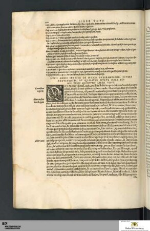 De Mvndi Gvbernatione, Divina Providentia