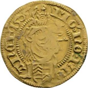 Münze, Goldgulden, 1505