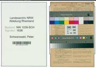 Entnazifizierung Peter Schwarzwald , geb. 12.05.1899 (Stadtinspektor)