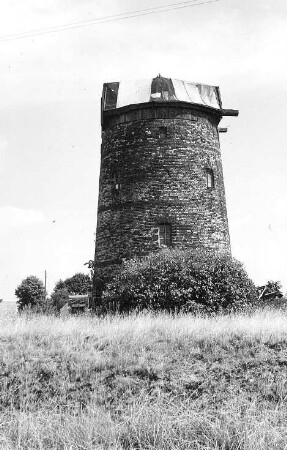 Pflückuff-Mehderitzsch. Turmholländer