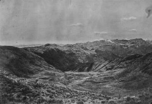 Saruwaged-Gebirge : Die Landschaft und Vegetation des Sarugawed-Gebirges