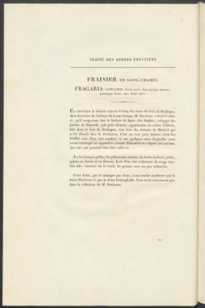 Fraisier De Long-Cahmps. Fragaria Loncampi ...
