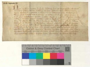 11 Lüneburger Ratsmannen bekunden, dass der Lüneburger Bürger Johannes Buckeman den Kindern des verstorbenen Lüneburger Bürgers Johannes Houth ½ Chor Salz in Huttinghe verkauft hat.