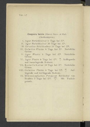 Tab. 62 Oospora bovis