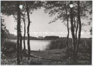 Schleswig-Holstein, Westensee