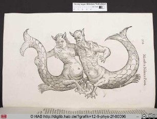 Monstra Niliaca Parei.
