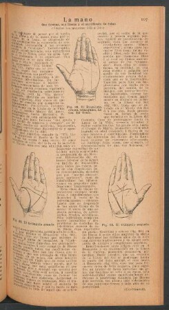La mano - sus formas, sus líneas y el significado de estas - [Continuación]