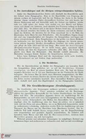 III: Die Geschlechtsorgane (Genitalapparat)