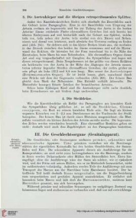 III: Die Geschlechtsorgane (Genitalapparat)