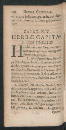 Caput XIV. Herbae Capitatae Cum Similibus.