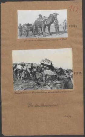 Transport eines Protzkastens durch Kamele am Sinai