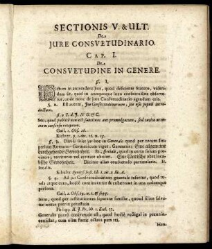 Sectionis V. & Ult. De Jure Consuetudinario.