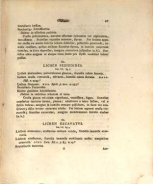 Enumeratio Lichenum Iconibus Et Descirptionibus Illustrata. 2/3