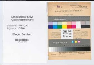 Entnazifizierung Bernhard Efinger, geb. 12.08.1896 (Techn.Angest.)
