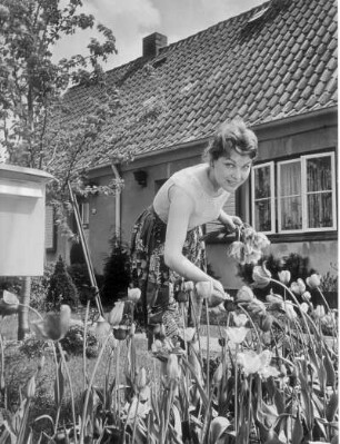 Werbefotografie für einen Prospekt GW. Das Fotomodel schneidet im Vorgarten Tulpen ab.