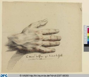 Studie einer rechten Hand