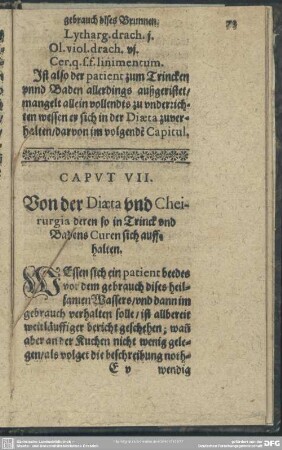 Caput VII. Von der Diaeta und Cheirurgia deren so in Trinck und Badens Curen sich auffhalten
