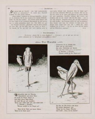 "Der Marabu"