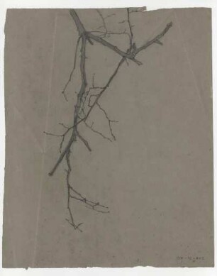 [Zweige]