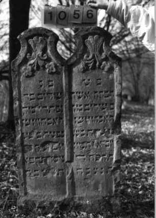 Grabstein 1056 (Index: 99753365) Material: Sandstein Zustand: beschädigt mit Textverlust Maße HxBxT: 128x68x12 cm Beschreibung: Doppelstele, zwei Schriftfelder eingetieft Symbolik: Muscheln, Blätter: Grabstein 1056