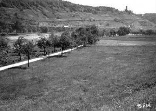 Neckarlandschaft oberstrom Neckarzimmern