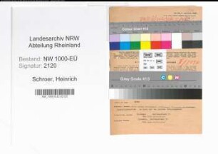 Entnazifizierung Heinrich Schroer, geb. 14.06.1896 (Zollinspektor)