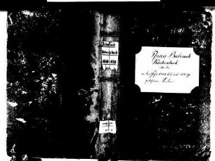 Biberach OG: Katholische Gemeinde: Geburtenbuch 1810-1839 Enthält: Einzelne Evangelische Einträge