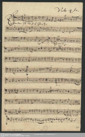 Viola quarta.