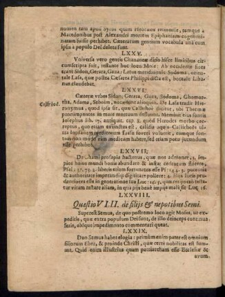 Quaestio VIII. de filiis & nepotibus Semi.