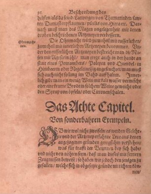Das Achte Capitel. Von sonderbahren Exempeln.