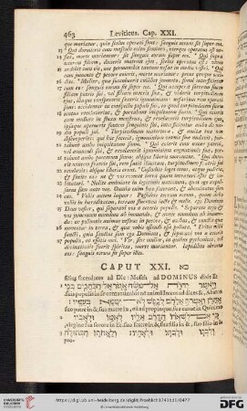 (Caput XXI - XXVII)