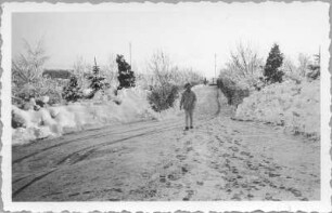 Meißen, Stadtparkhöhe 6. Ramon-Joachim Gerhardt auf dem Heckenweg im elterlichen Garten
